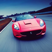    - - Ferrari. �������� ������ Cvety.by